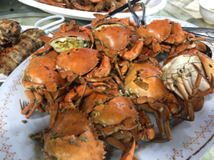 Reflections on China Tour