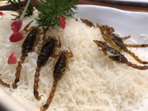 Reflections on China Tour