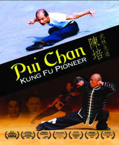 pui chan kung fu