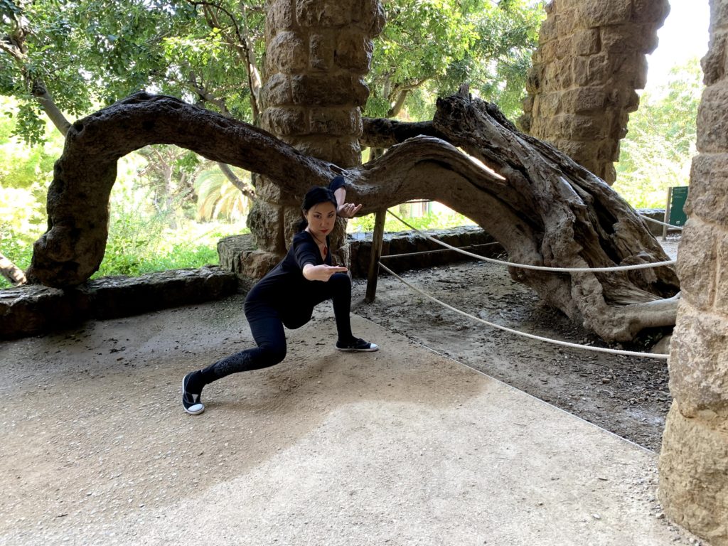 What makes a Good Kung Fu practitioner