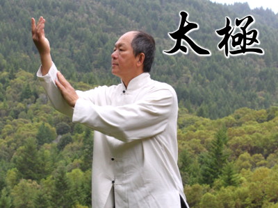 Dr. Yang Jwing Ming